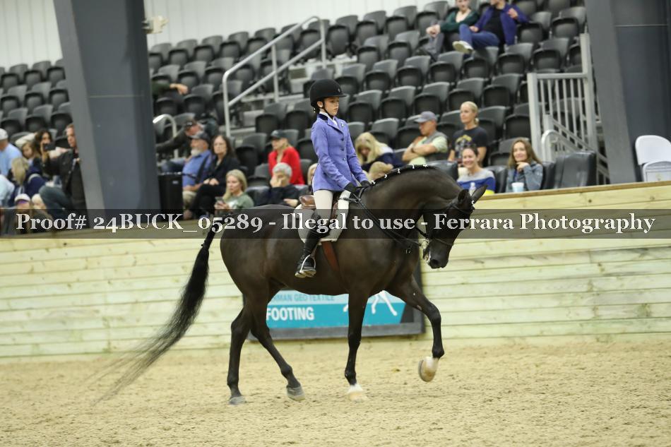 Proof 24BUCK_05289