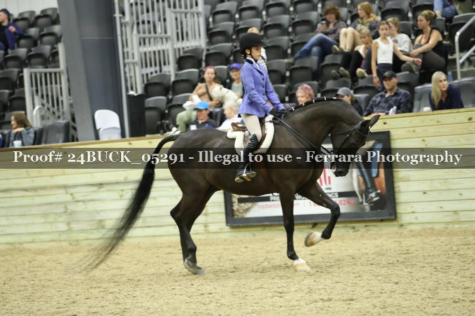 Proof 24BUCK_05291