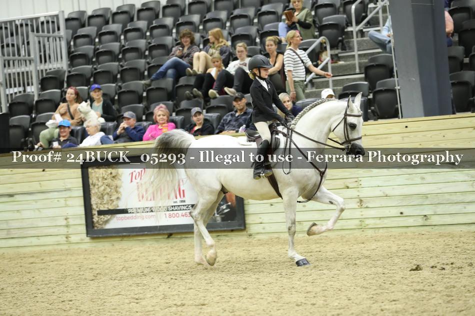 Proof 24BUCK_05293