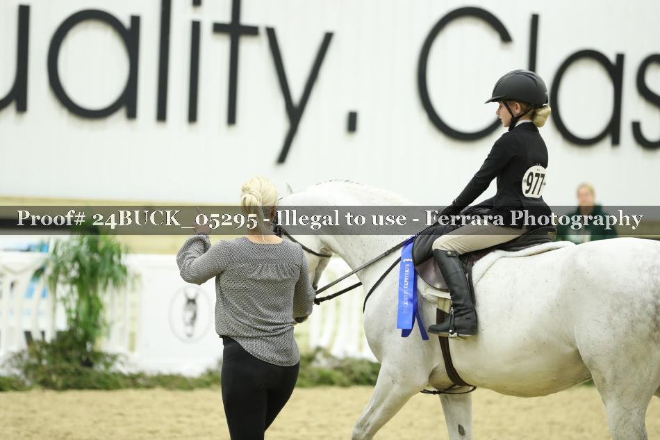 Proof 24BUCK_05295