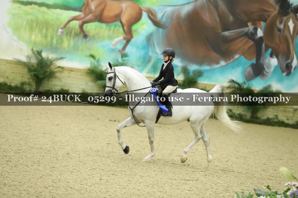 Proof 24BUCK_05299