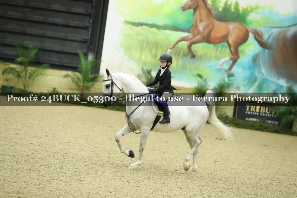Proof 24BUCK_05300
