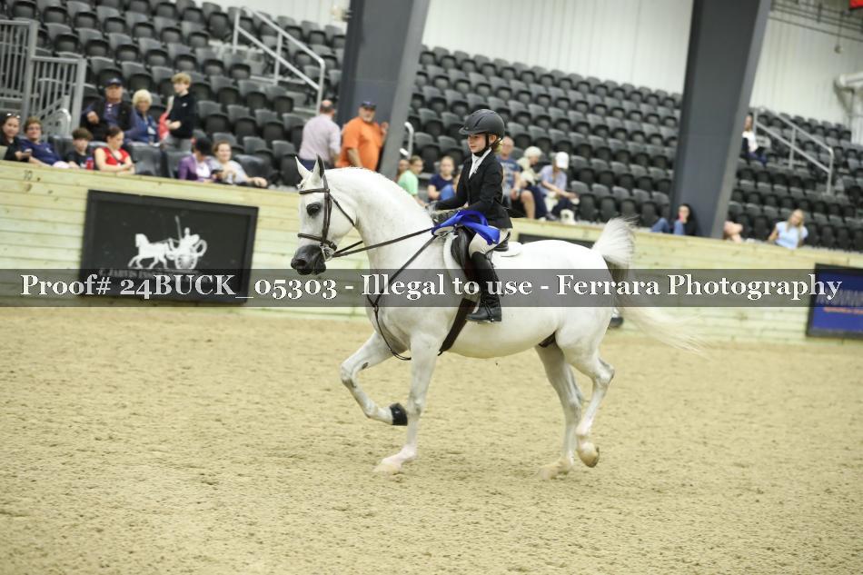 Proof 24BUCK_05303