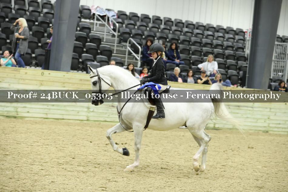 Proof 24BUCK_05305