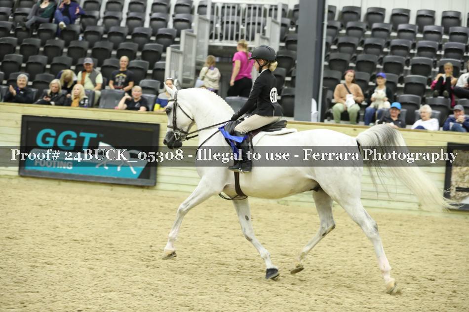 Proof 24BUCK_05308