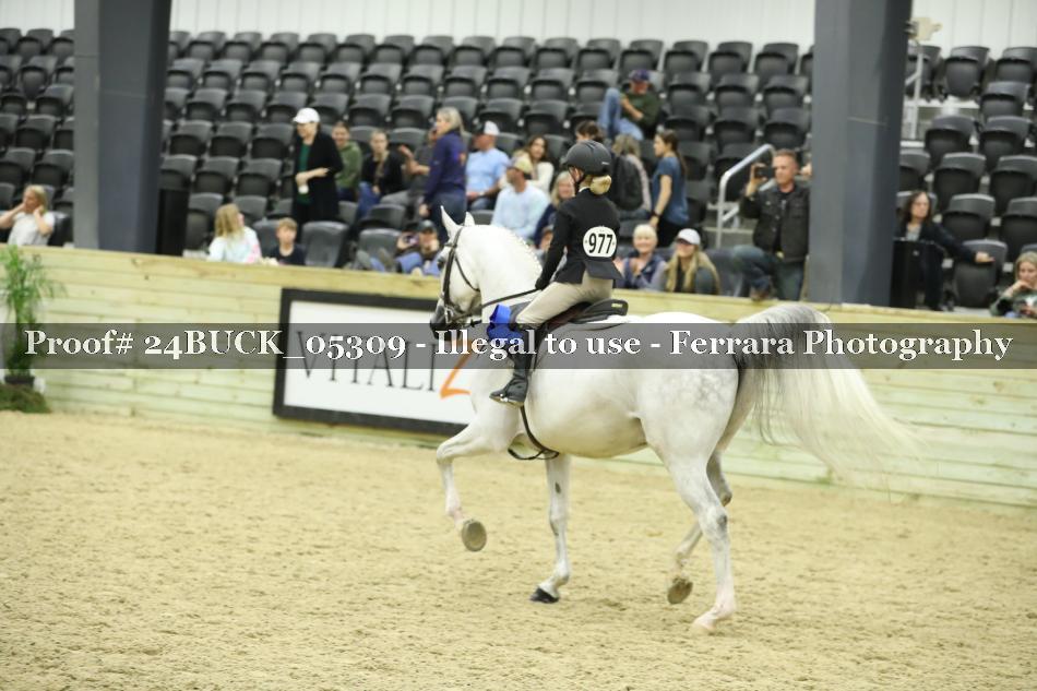 Proof 24BUCK_05309