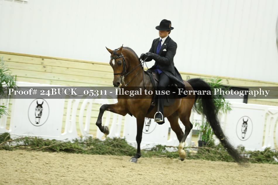 Proof 24BUCK_05311