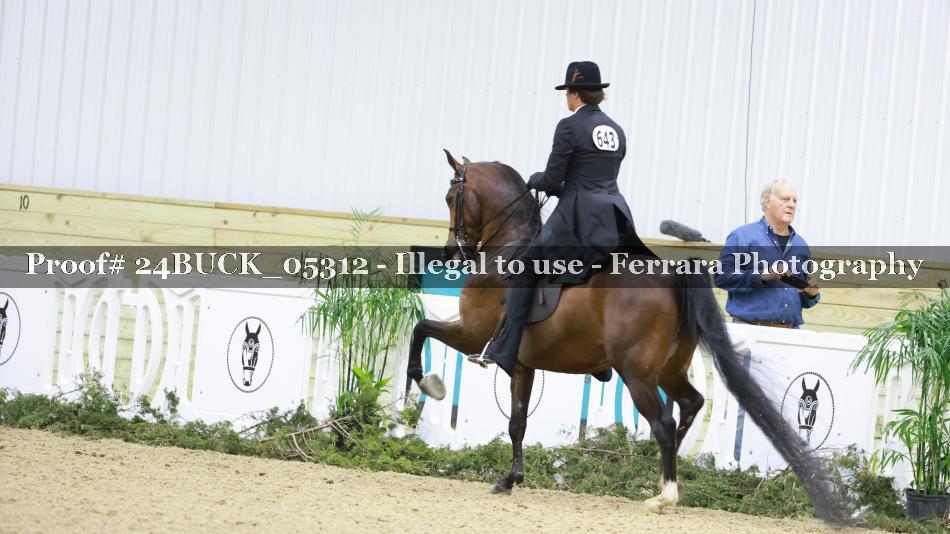 Proof 24BUCK_05312