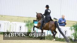 24BUCK_05312 proof