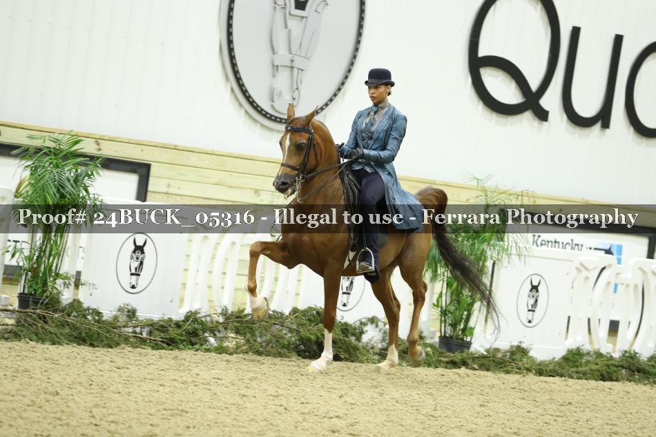 Proof 24BUCK_05316