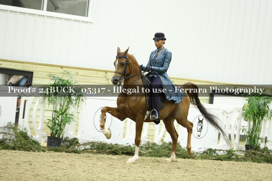 Proof 24BUCK_05317
