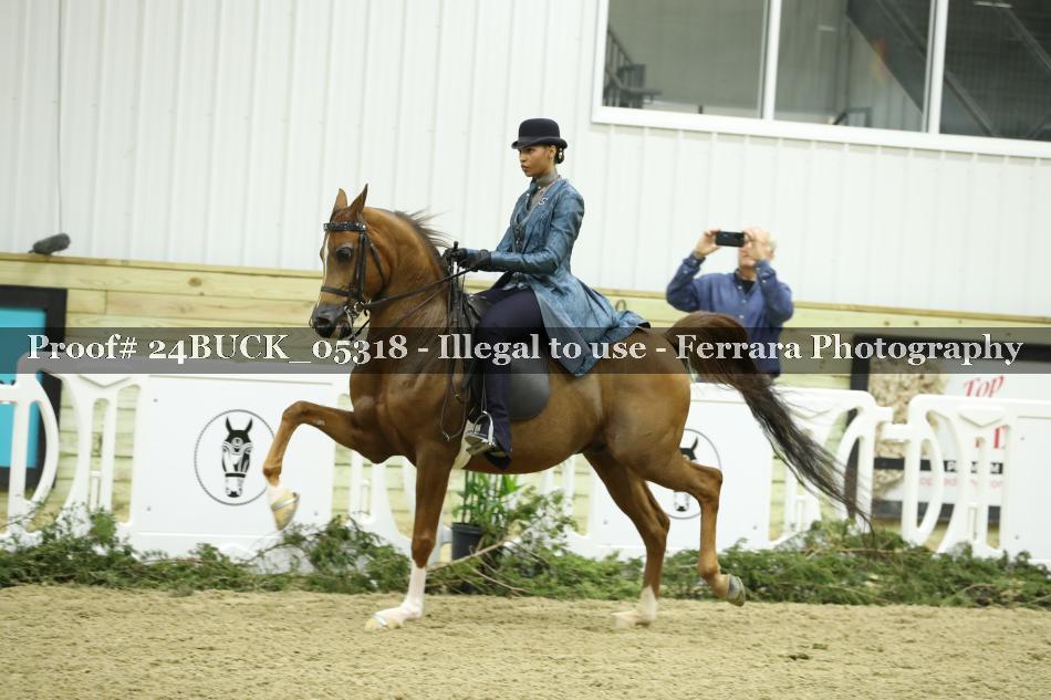 Proof 24BUCK_05318