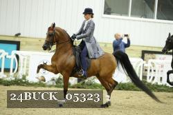 24BUCK_05323 proof