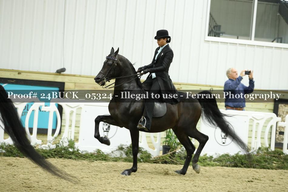 Proof 24BUCK_05324