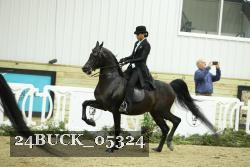 24BUCK_05324 proof