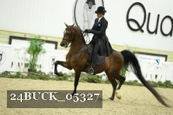 24BUCK_05327 proof