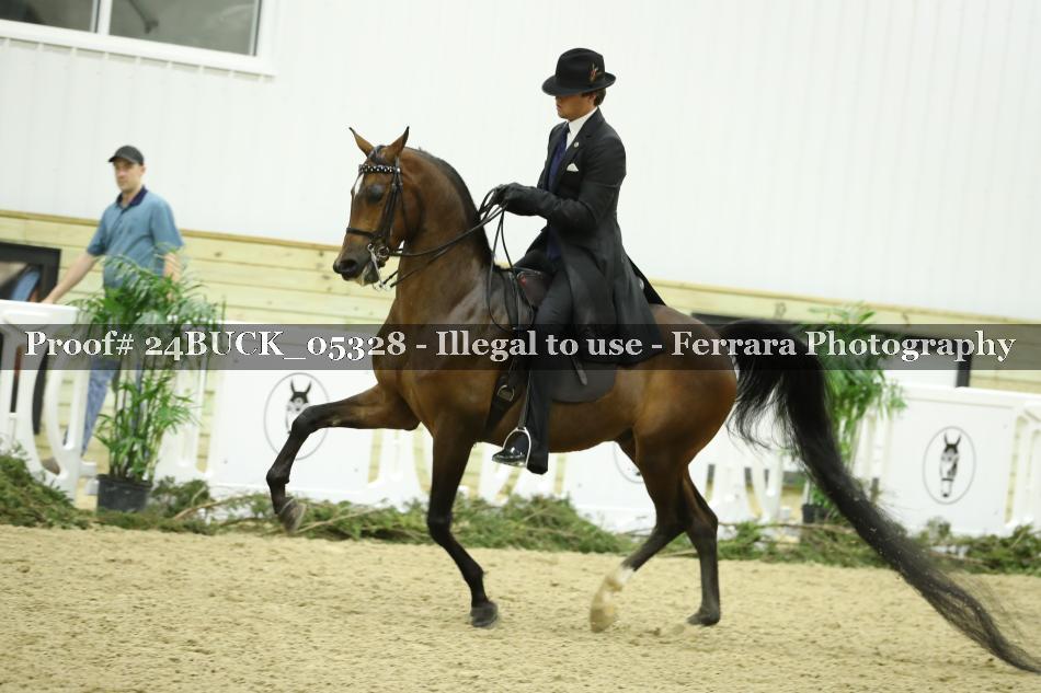 Proof 24BUCK_05328