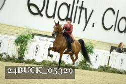 24BUCK_05329 proof