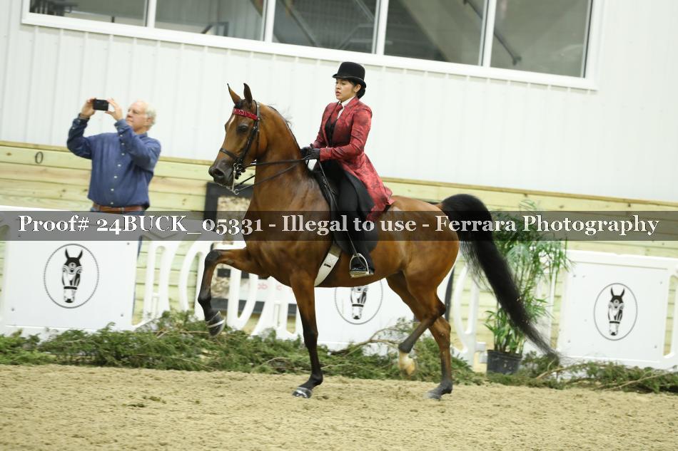 Proof 24BUCK_05331