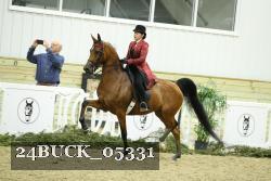 24BUCK_05331 proof