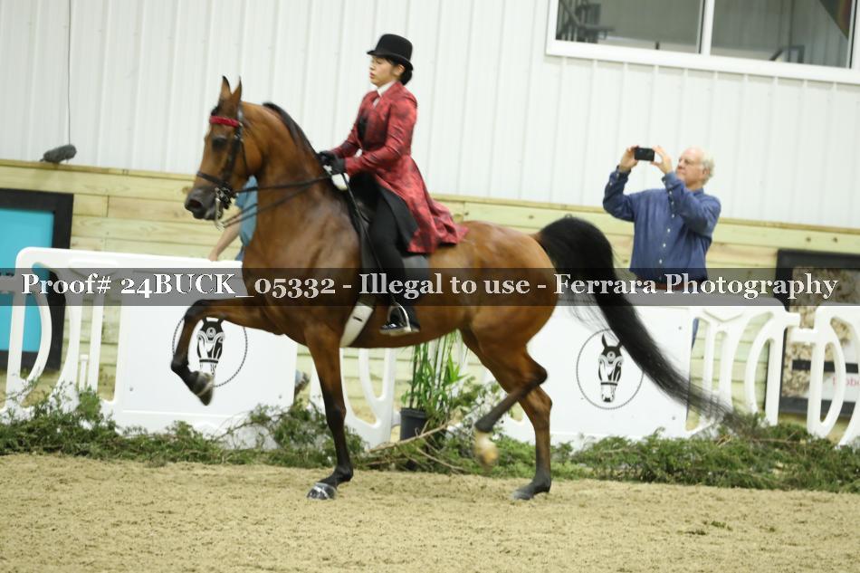 Proof 24BUCK_05332