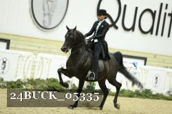 24BUCK_05335 proof