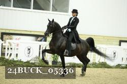 24BUCK_05336 proof