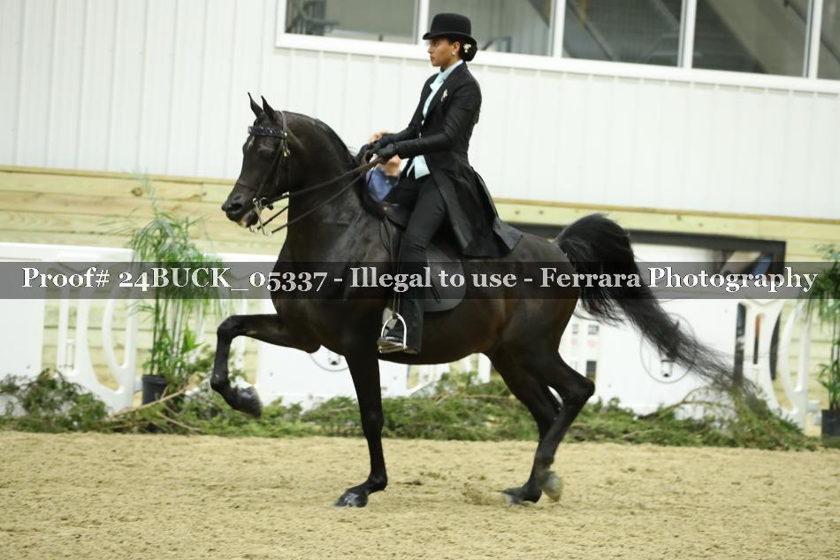 Proof 24BUCK_05337