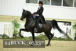 24BUCK_05337 proof