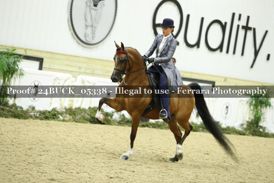 Proof 24BUCK_05338