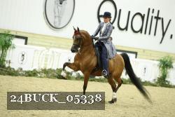 24BUCK_05338 proof