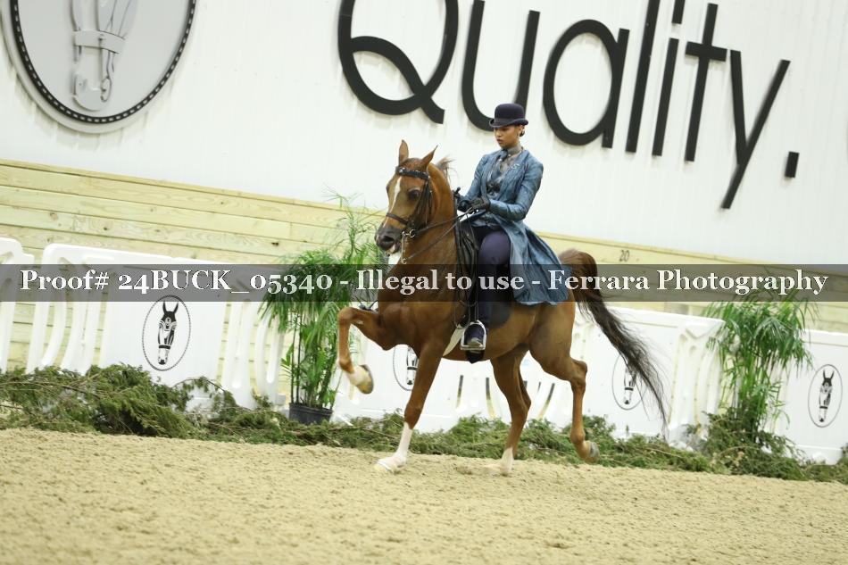 Proof 24BUCK_05340