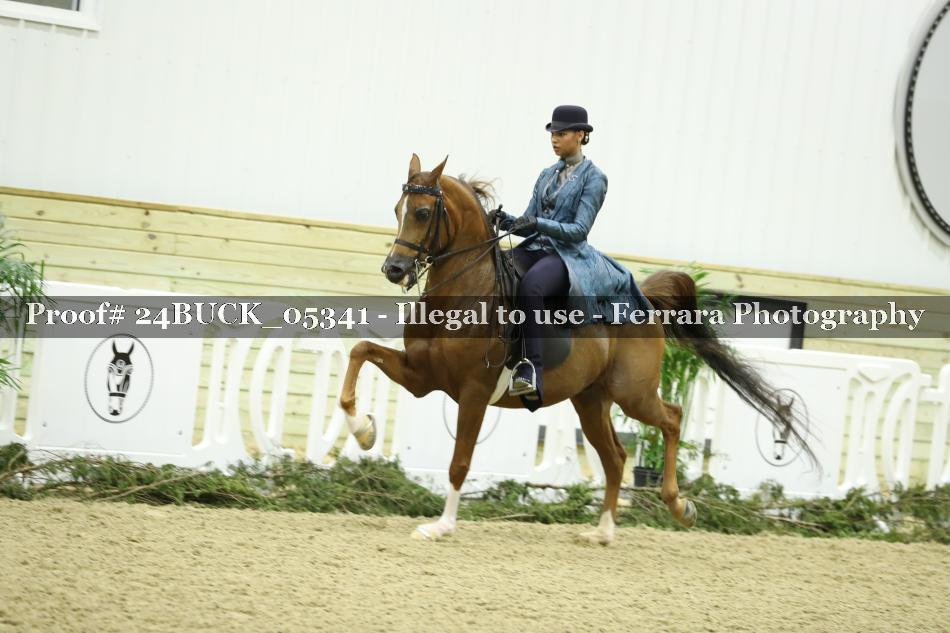 Proof 24BUCK_05341