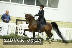 24BUCK_05343 proof