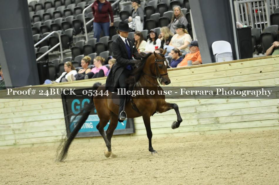 Proof 24BUCK_05344