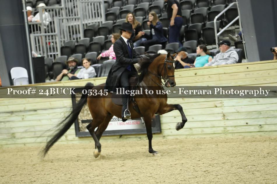 Proof 24BUCK_05345