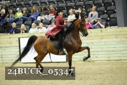 24BUCK_05347 proof
