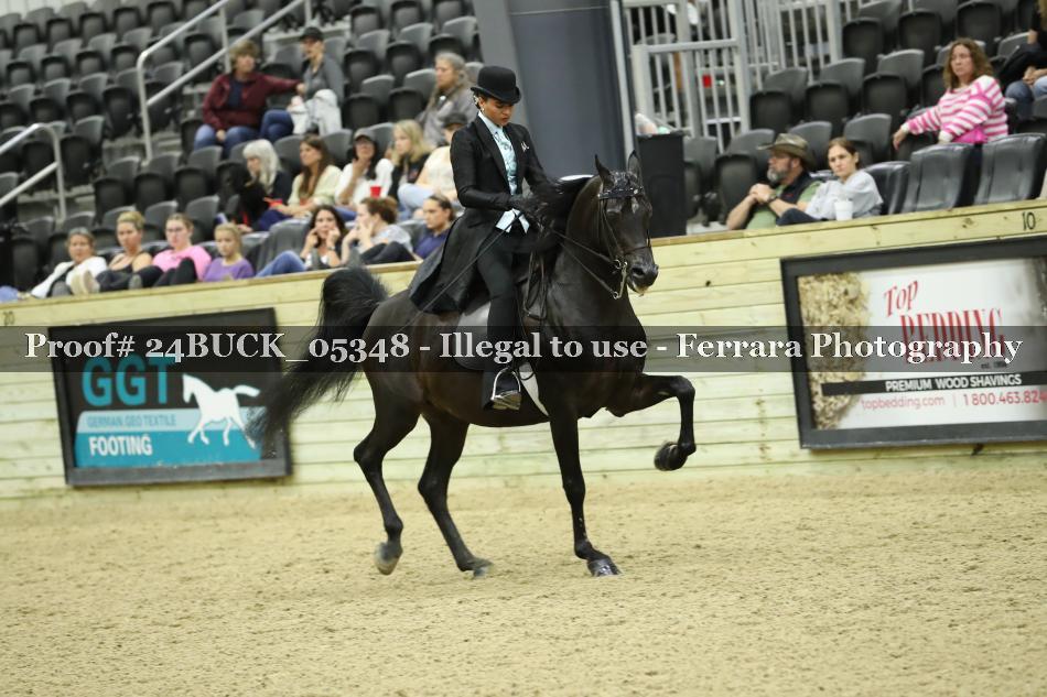 Proof 24BUCK_05348