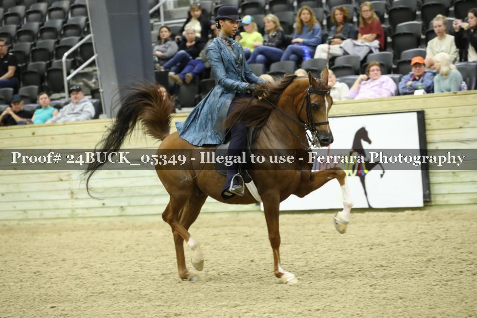 Proof 24BUCK_05349