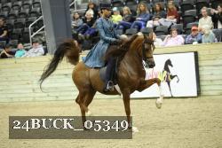 24BUCK_05349 proof