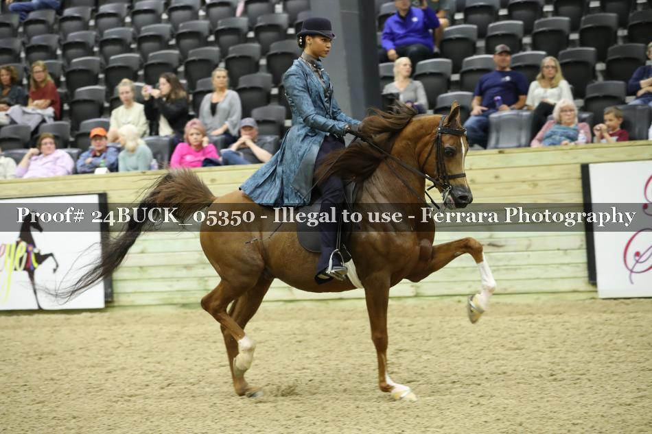 Proof 24BUCK_05350