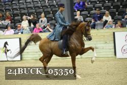 24BUCK_05350 proof
