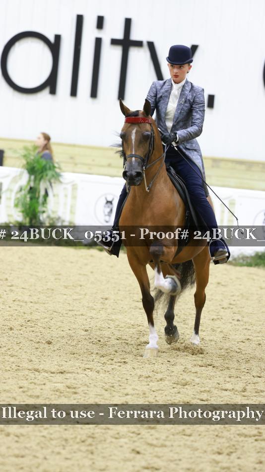 Proof 24BUCK_05351