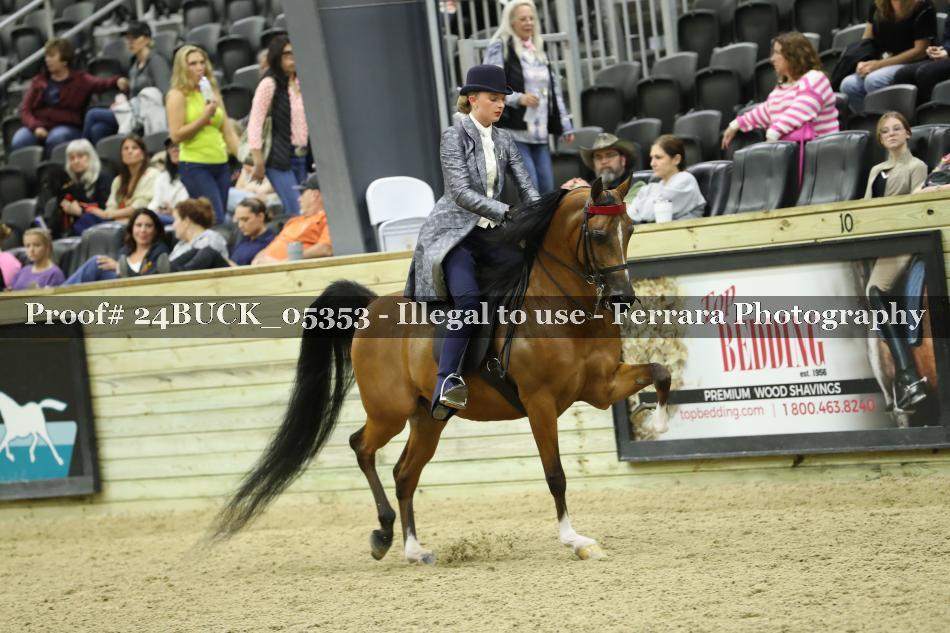 Proof 24BUCK_05353