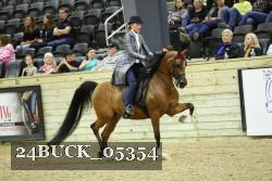 24BUCK_05354 proof