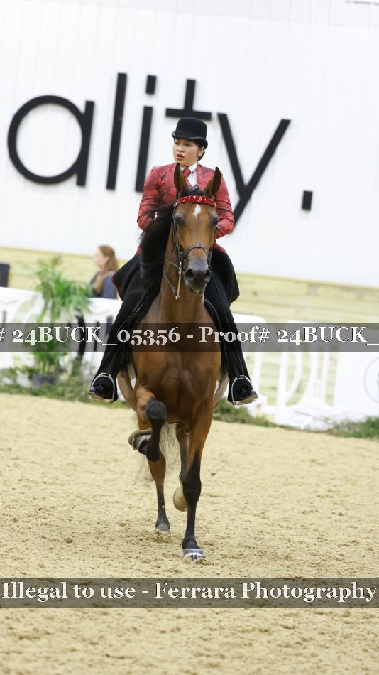 Proof 24BUCK_05356