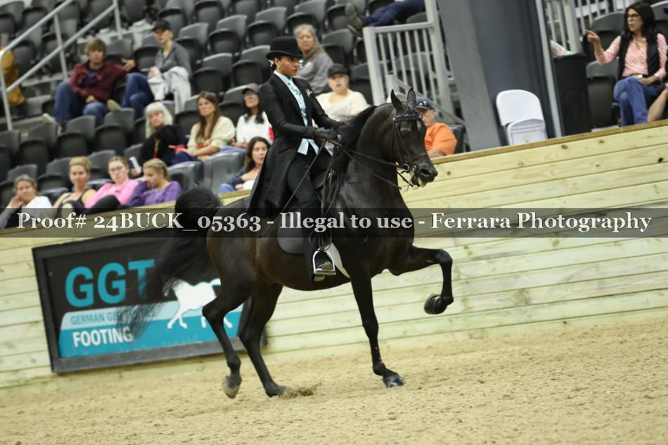 Proof 24BUCK_05363