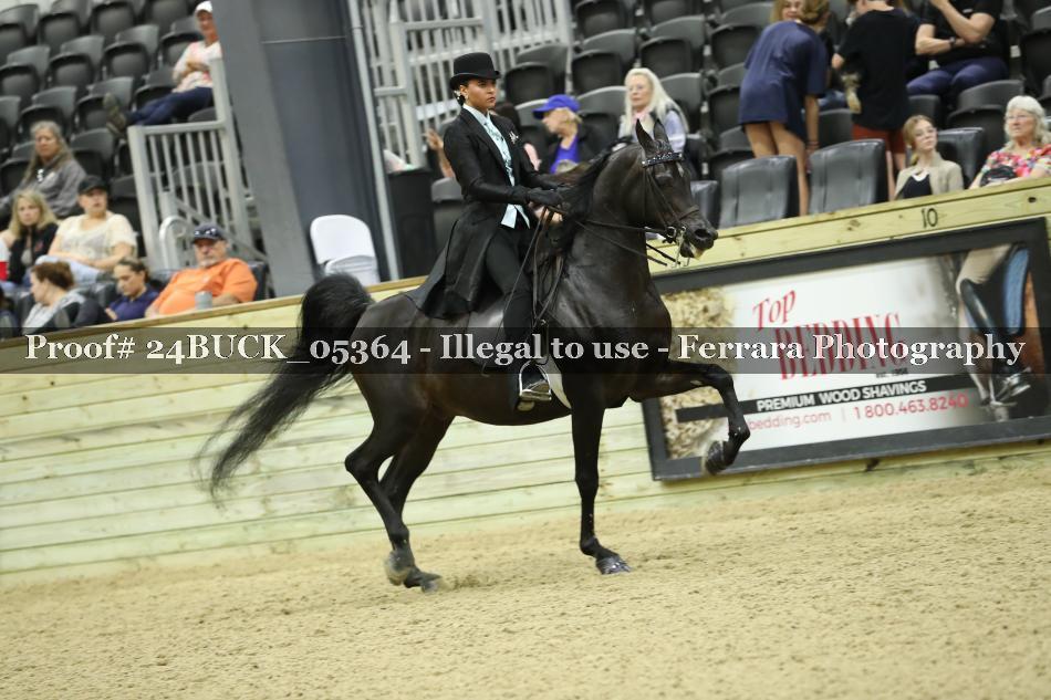 Proof 24BUCK_05364