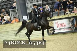 24BUCK_05364 proof