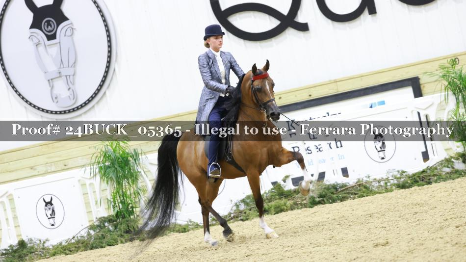 Proof 24BUCK_05365
